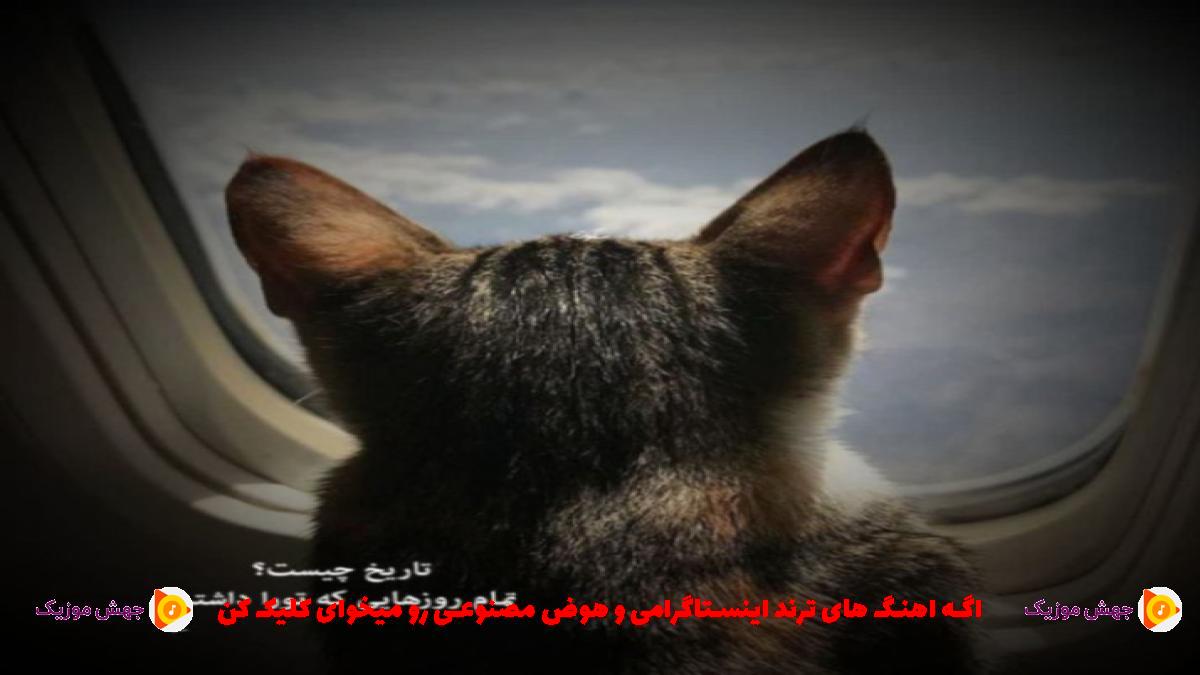 دانلود آهنگ قلبم هابانه صد حالم نکه حال سگ از محمد امیری
